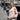 Nayla Kaschmir Pullover Powder1