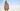 DOUIE Cashmere Pullover und Strickjacken