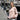 Nayla Kaschmir Pullover Grobstrick Powder